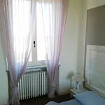 La Vite E L'ulivo 3*