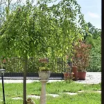 Bed & Breakfast La Vite E L'ulivo Castagnole Monferrato