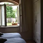 La Vite E L'ulivo 3*
