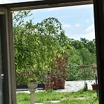 La Vite E L'ulivo