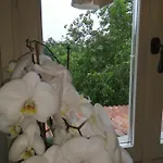 La Vite E L'ulivo Castagnole Monferrato