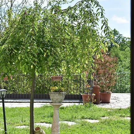 Bed & Breakfast La Vite E L'ulivo Castagnole Monferrato