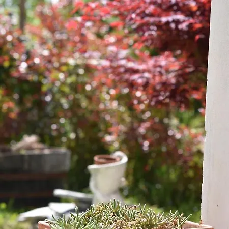 B&B Cascina Spazio Indaco Castagnole Monferrato