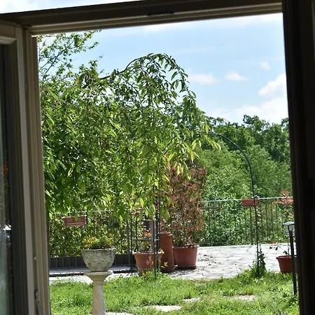 La Vite E L'ulivo