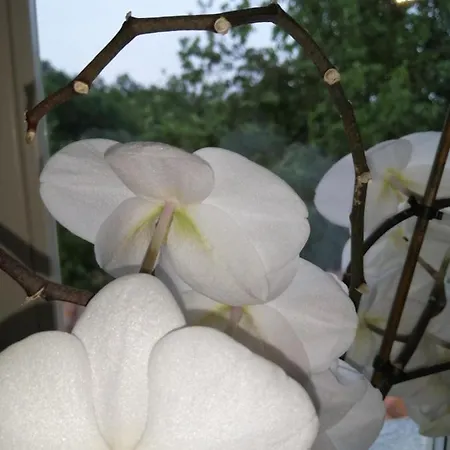 Cascina Spazio Indaco Castagnole Monferrato