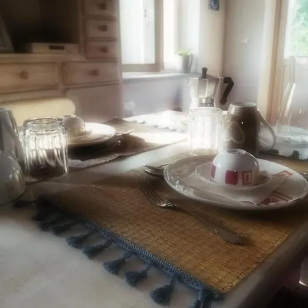 La Vite E L'ulivo