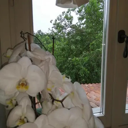 Cascina Spazio Indaco Castagnole Monferrato