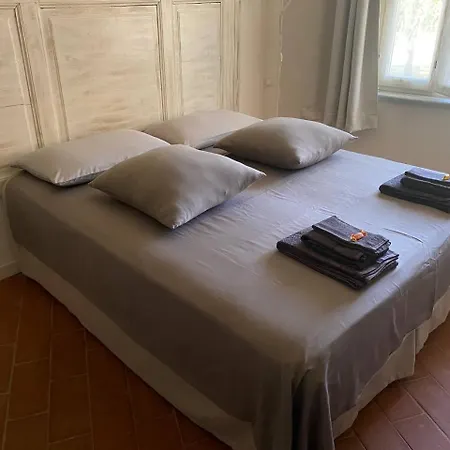 La Vite E L'ulivo Bed & Breakfast Castagnole Monferrato