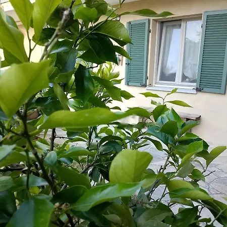 Cascina Spazio Indaco Bed & Breakfast *