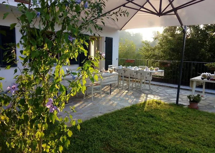 La Vite E L'ulivo