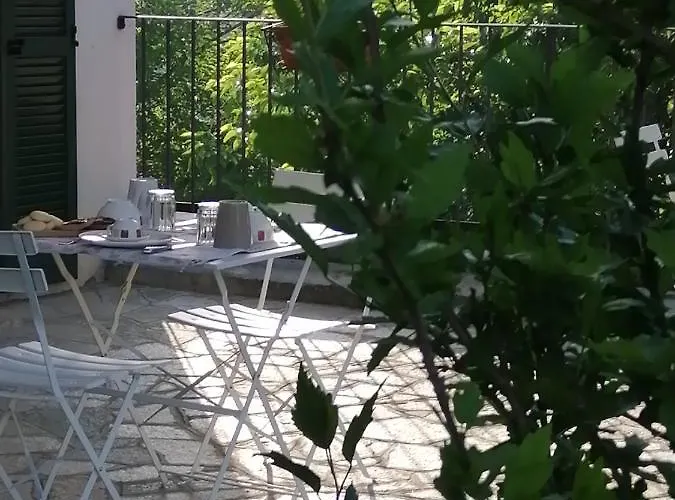 Bed & Breakfast La Vite E L'ulivo Castagnole Monferrato